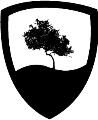 Siena Italian Studies Program
