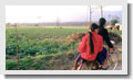 Friends For Asia