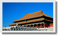 Gold Star TEFL Recruitment